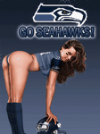 pic for go seahawks